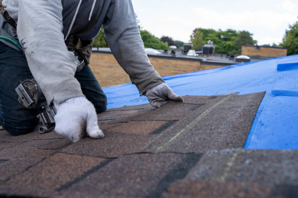 Best Roof Installation  in Rawls Springs, MS