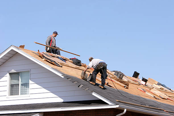 Best Storm Damage Roof Repair  in Rawls Springs, MS